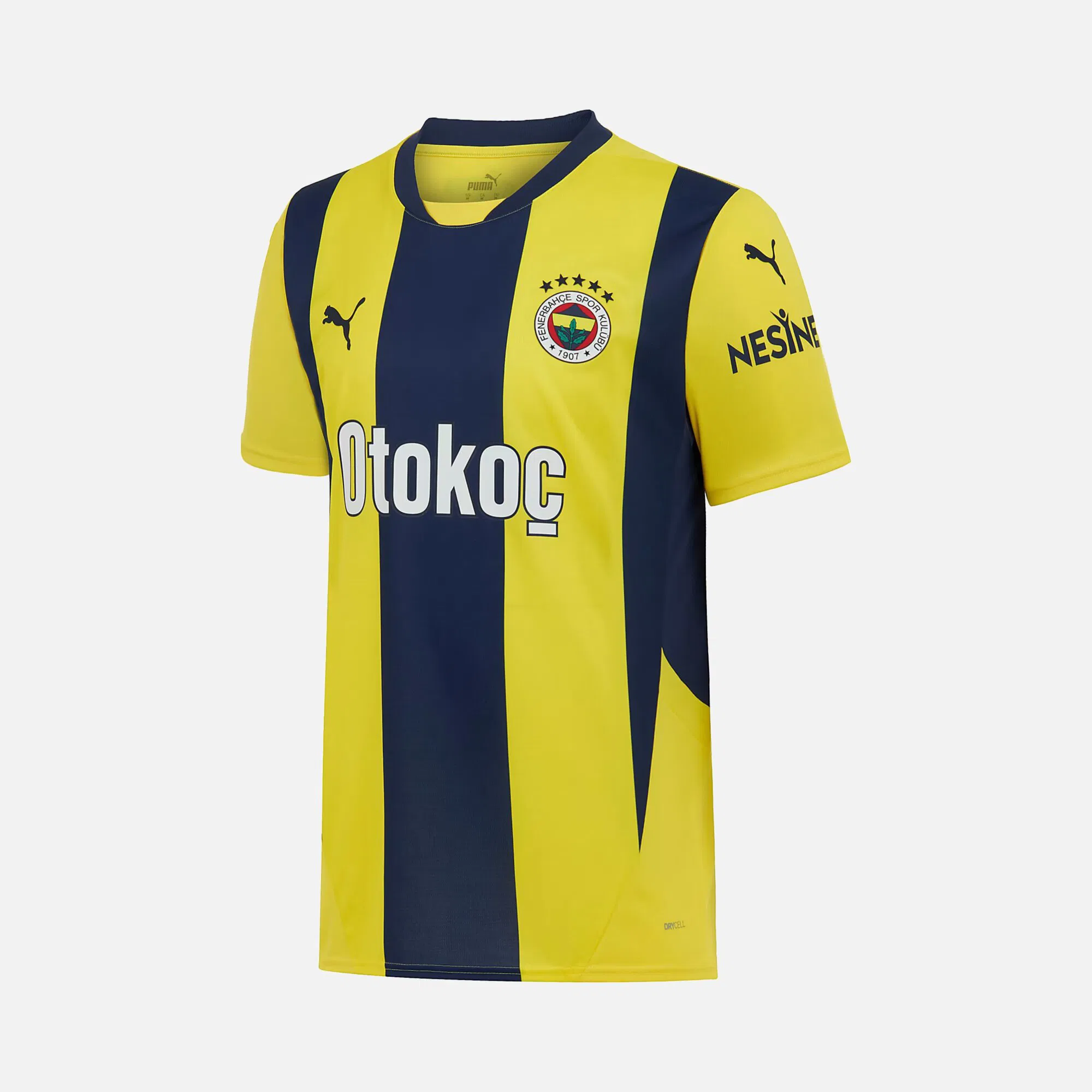 Sinop Spor